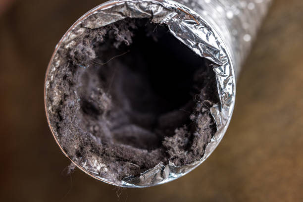 Best Air Duct Cleaning Near Me in MN